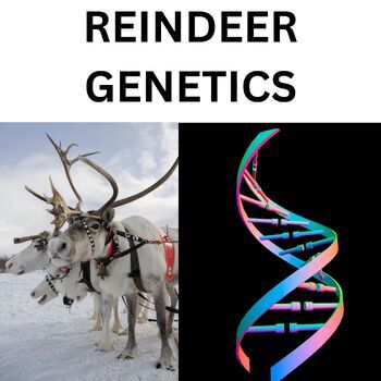 Preview of Genetics Christmas Reindeer Punnett Square High School Science