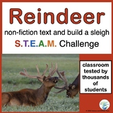 Christmas Reindeer Nonfiction Text and Build a Sleigh STEM