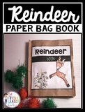 Christmas Reindeer Paper Bag Book