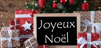 Preview of Christmas Research Project in French