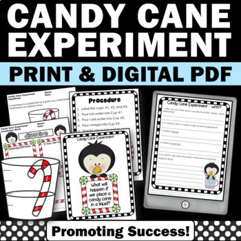 Preview of Christmas Science Activities Candy Cane Experiment Scientific Method Worksheets