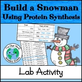Christmas Science Lab Activity Using Protein Synthesis to 
