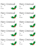 Christmas Tag Labels