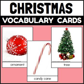 Preview of Christmas Themed Vocabulary Cards