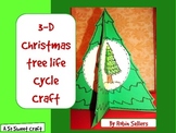 Christmas Tree Craft: {3-D Life Cycle of a Conifer Craftivity}