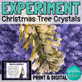 Christmas Tree Crystals Mineral Growing Science Experiment