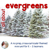 Christmas Tree / Evergreens / Conifer NO PREP Mini Unit