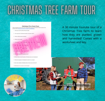 Preview of Christmas Tree Farm Tour