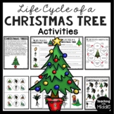 Christmas Tree Life Cycle Activities and Worksheets December
