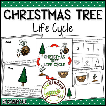 Preview of Christmas Tree Life Cycle | Science | Preschool Pre-K