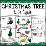 Christmas Tree Life Cycle | Science | Preschool Pre-K