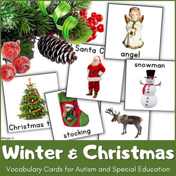 Preview of Winter & Christmas Vocabulary Cards with Real Pictures Autism Visuals Special Ed