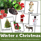 Winter & Christmas Vocabulary Cards with Real Pictures Aut