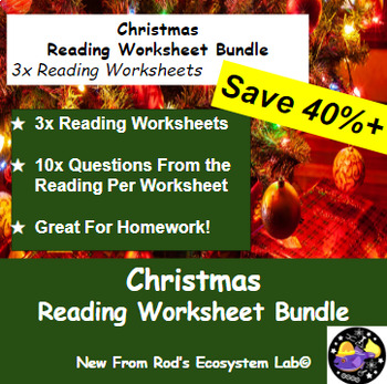 Preview of Christmas Winter Seasonal Reading Worksheet Bundle **Editable**