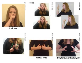 Preview of Christmas / Winter Sign Language Vocab Cards