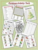 Christmas Word Activity Fun Pack (wordsearch crossword wor