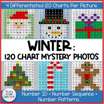 Preview of Winter Math Mystery Pictures on 120 Chart