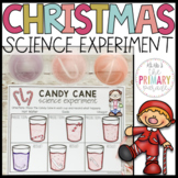 Christmas science experiment with Candy Canes