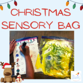 Christmas sensory bag fine motor activity