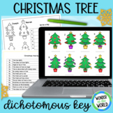 Christmas tree dichotomous key worksheets and digital activities