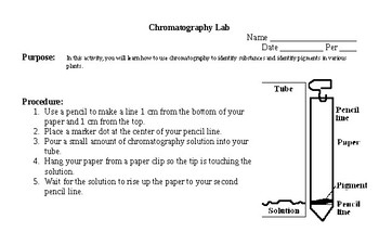 Are Black Markers Really Black? A Chromatography Lesson. - TinkerLab