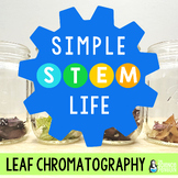 Chromatography Simple STEM Challenge | Plants & Photosynth