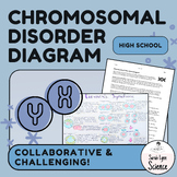Chromosomal Disorders Meiosis Diagram Project