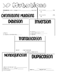 Chromosomal Mutations Doodle Notes