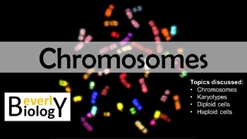 Preview of Chromosomes (Diploid/Haploid/Karyotypes) PowerPoint