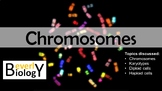 Chromosomes (Diploid/Haploid/Karyotypes) PowerPoint