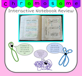 Chromosome Vocabulary Interactive Notebook Diagram