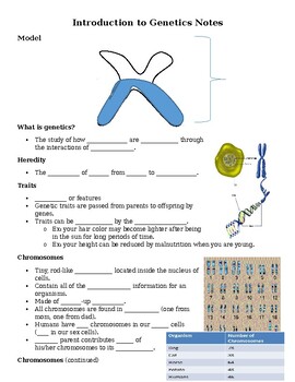 Preview of Chromosomes, Genes, DNA Guided Notes and Slideshow