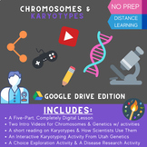 Chromosomes & Karyotypes - A Digital Learning & Exploratio
