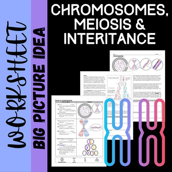 Preview of Chromosomes, Meiosis and Inheritance: The Big Picture