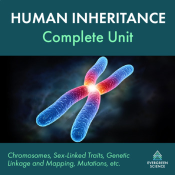 Preview of Chromosomes and Human Inheritance Complete Unit
