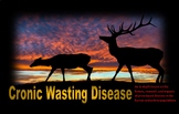 Chronic Wasting Disease: Prion based illnesses in the huma
