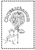 Chrysanthemum Back to school activities and printables