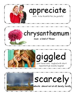 Preview of Chrysanthemum Vocabulary Cards