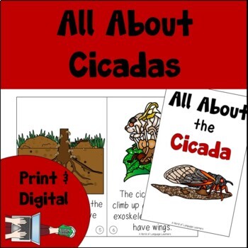 Preview of Cicada Book Print and Digital | Decodable & Emergent Reader