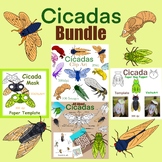 Cicada Bundle! Paper crafts, activities, commercial use, clipart!