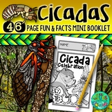 Cicada Celebration!  {An activity booklet about the cicada