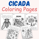 Cicada Coloring Book for Kids Toddlers and Preschoolers Ap