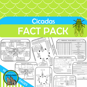 Preview of Cicada Fact Pack {Life Cycle, Body Parts, Broods, Informational Text, Detailed}