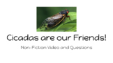 Cicada Informational Text Video & Questions