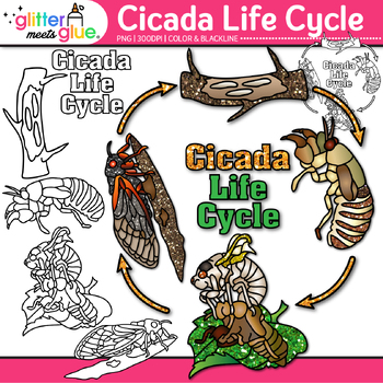Preview of Cicada Life Cycle Clipart: Cicada-geddon 2024, Brood X Bugs & Insects Clip Art