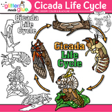 Cicada Life Cycle Clipart: Cicada-geddon 2024, Brood X Bug