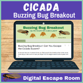 Cicada Life Cycle Escape Room End of the School Year - 3rd