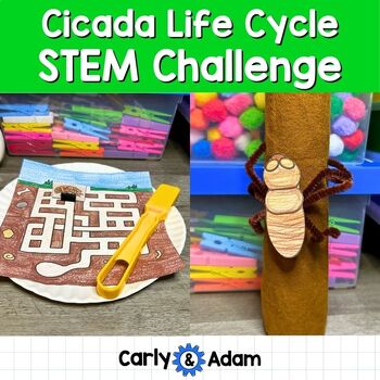 Preview of Cicada Life Cycle STEM Challenge Cicada Emergence, Broods, Bug Science