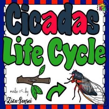 Preview of Cicada Life Cycle Pack Flip Book Included