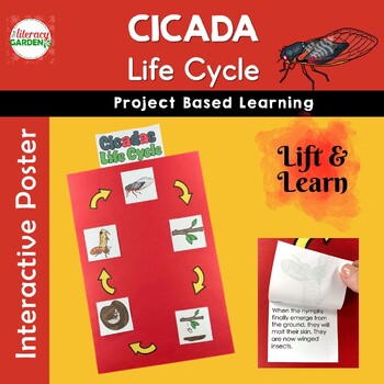 Preview of Cicada Life Cycle of an Insect Project